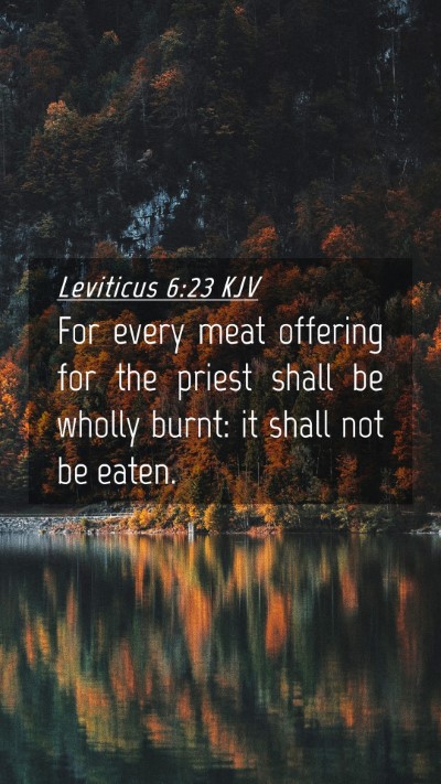 Picture 04 - Leviticus 6:23 KJV Mobile Phone Wallpaper - For every meat offering for the priest shall be - Mobile Bible Verse Wallpaper