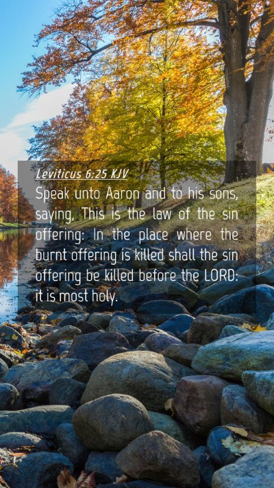 Picture 04 - Leviticus 6:25 KJV Mobile Phone Wallpaper - Speak unto Aaron and to his sons, saying, This is - Mobile Bible Verse Wallpaper