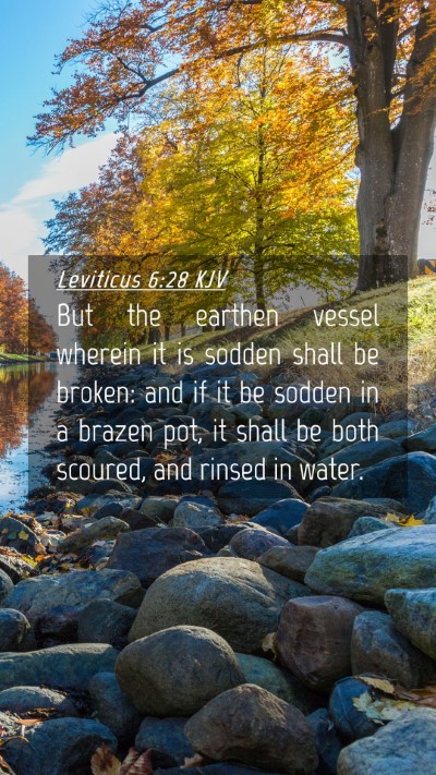 Picture 04 - Leviticus 6:28 KJV Mobile Phone Wallpaper - But the earthen vessel wherein it is sodden shall - Mobile Bible Verse Wallpaper