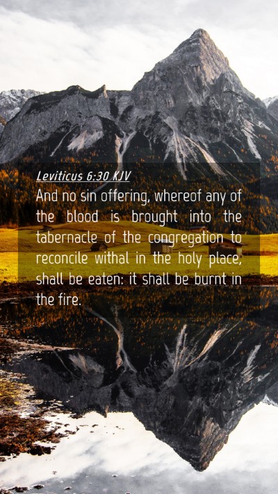Picture 04 - Leviticus 6:30 KJV Mobile Phone Wallpaper - And no sin offering, whereof any of the blood is - Mobile Bible Verse Wallpaper