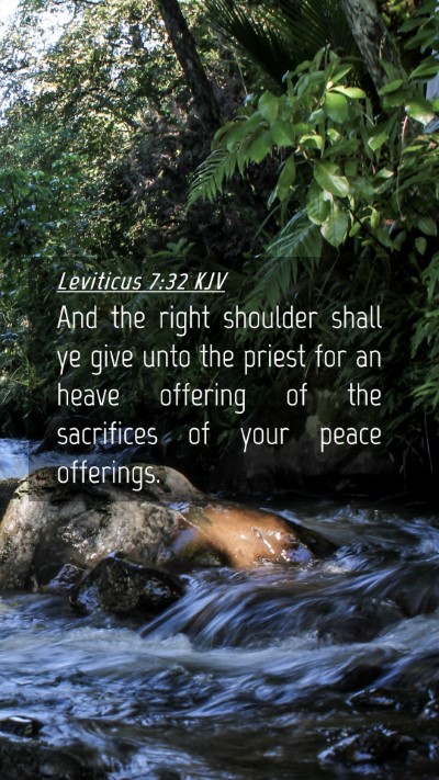 Picture 04 - Leviticus 7:32 KJV Mobile Phone Wallpaper - And the right shoulder shall ye give unto the - Mobile Bible Verse Wallpaper