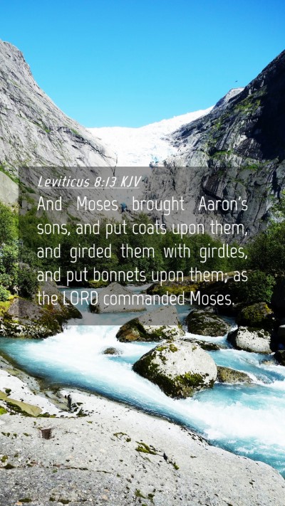 Picture 04 - Leviticus 8:13 KJV Mobile Phone Wallpaper - And Moses brought Aaron's sons, and put coats - Mobile Bible Verse Wallpaper