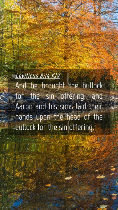 Picture 04 - Leviticus 8:14 KJV Mobile Phone Wallpaper - And he brought the bullock for the sin offering: - Mobile Bible Verse Wallpaper