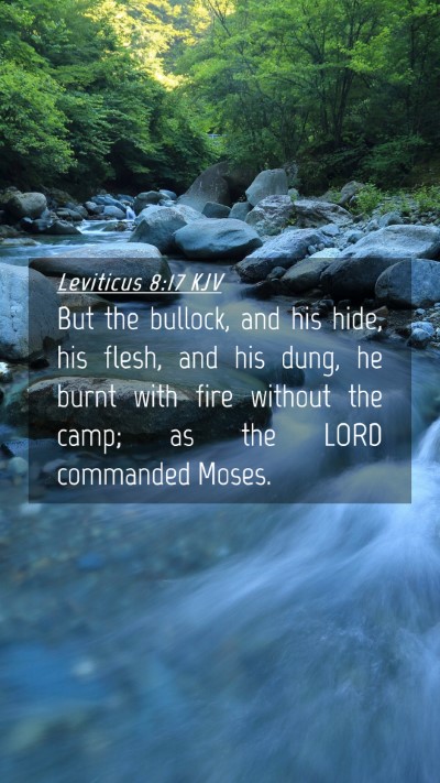 Picture 04 - Leviticus 8:17 KJV Mobile Phone Wallpaper - But the bullock, and his hide, his flesh, and his - Mobile Bible Verse Wallpaper
