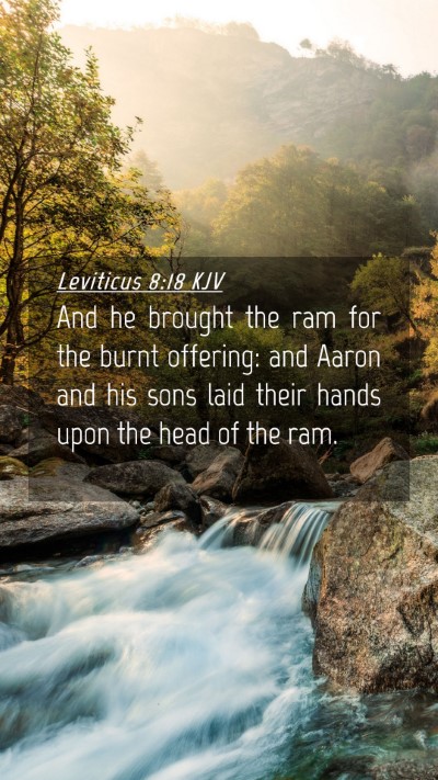 Picture 04 - Leviticus 8:18 KJV Mobile Phone Wallpaper - And he brought the ram for the burnt offering: - Mobile Bible Verse Wallpaper