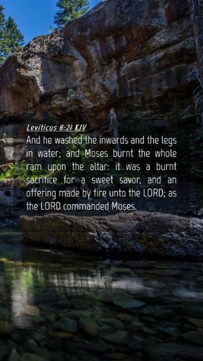 Picture 04 - Leviticus 8:21 KJV Mobile Phone Wallpaper - And he washed the inwards and the legs in water; - Mobile Bible Verse Wallpaper