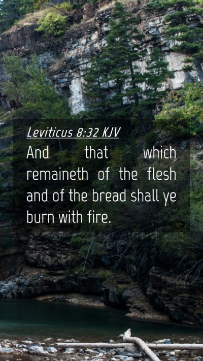 Picture 04 - Leviticus 8:32 KJV Mobile Phone Wallpaper - And that which remaineth of the flesh and of the - Mobile Bible Verse Wallpaper