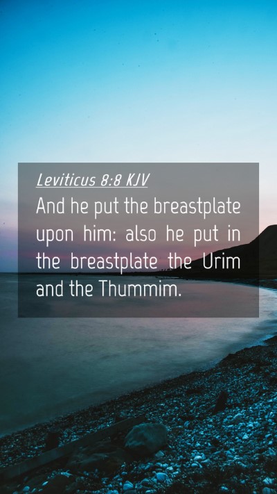 Picture 04 - Leviticus 8:8 KJV Mobile Phone Wallpaper - And he put the breastplate upon him: also he put - Mobile Bible Verse Wallpaper