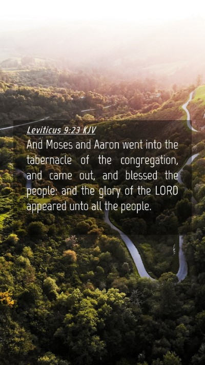 Picture 04 - Leviticus 9:23 KJV Mobile Phone Wallpaper - And Moses and Aaron went into the tabernacle of - Mobile Bible Verse Wallpaper