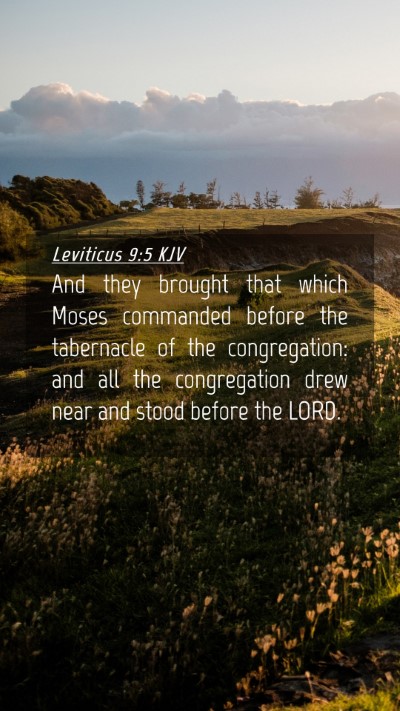 Picture 04 - Leviticus 9:5 KJV Mobile Phone Wallpaper - And they brought that which Moses commanded - Mobile Bible Verse Wallpaper