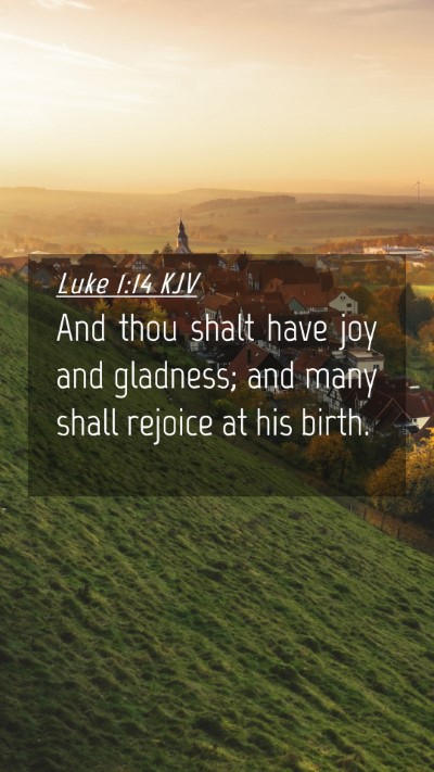 Picture 04 - Luke 1:14 KJV Mobile Phone Wallpaper - And thou shalt have joy and gladness; and many - Mobile Bible Verse Wallpaper
