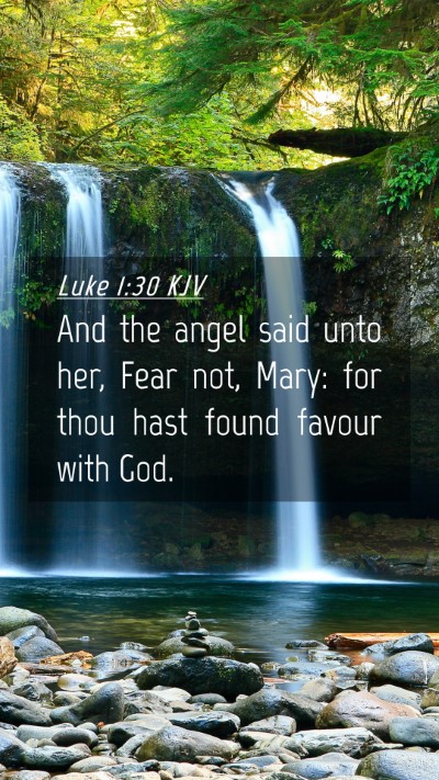 Picture 04 - Luke 1:30 KJV Mobile Phone Wallpaper - And the angel said unto her, Fear not, Mary: for - Mobile Bible Verse Wallpaper