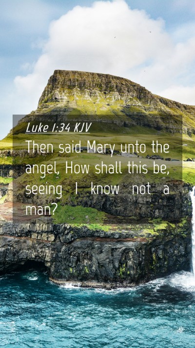 Picture 04 - Luke 1:34 KJV Mobile Phone Wallpaper - Then said Mary unto the angel, How shall this be, - Mobile Bible Verse Wallpaper