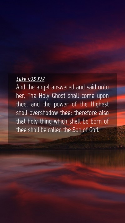 Picture 04 - Luke 1:35 KJV Mobile Phone Wallpaper - And the angel answered and said unto her, The - Mobile Bible Verse Wallpaper