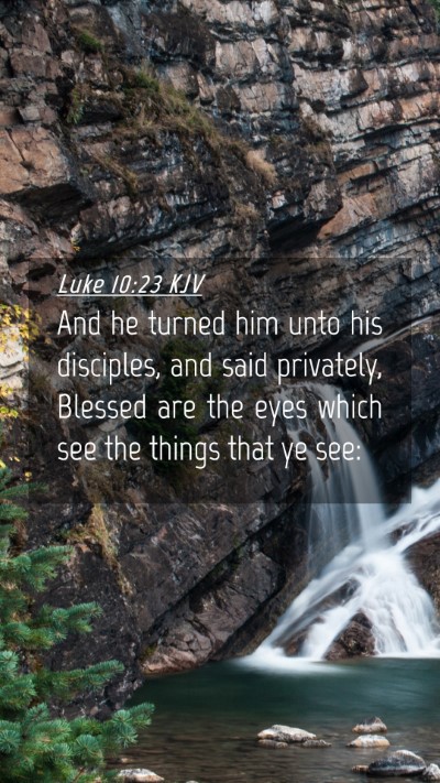 Picture 04 - Luke 10:23 KJV Mobile Phone Wallpaper - And he turned him unto his disciples, and said - Mobile Bible Verse Wallpaper