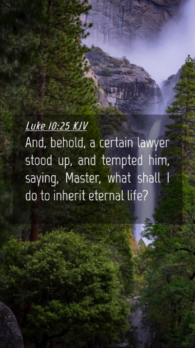 Picture 04 - Luke 10:25 KJV Mobile Phone Wallpaper - And, behold, a certain lawyer stood up, and - Mobile Bible Verse Wallpaper