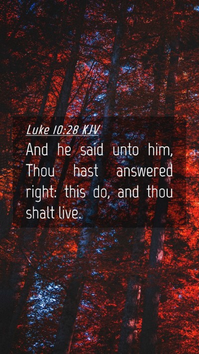 Picture 04 - Luke 10:28 KJV Mobile Phone Wallpaper - And he said unto him, Thou hast answered right: - Mobile Bible Verse Wallpaper