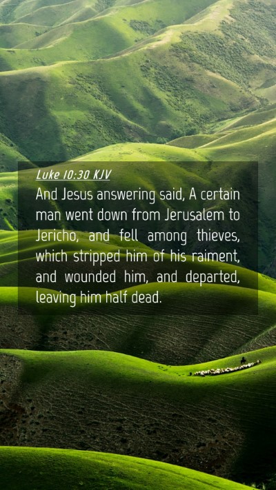 Picture 04 - Luke 10:30 KJV Mobile Phone Wallpaper - And Jesus answering said, A certain man went down - Mobile Bible Verse Wallpaper