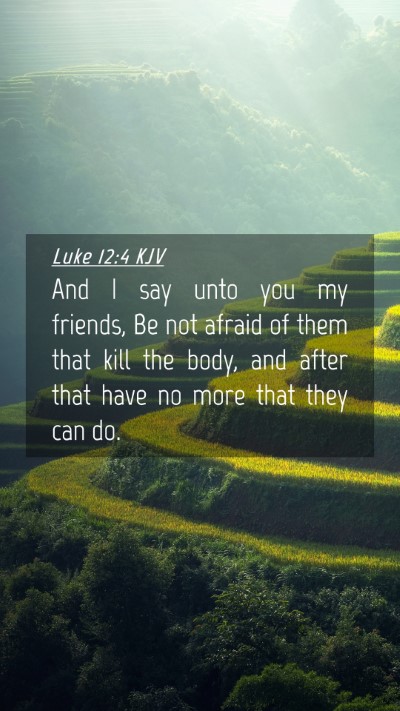 Picture 04 - Luke 12:4 KJV Mobile Phone Wallpaper - And I say unto you my friends, Be not afraid of - Mobile Bible Verse Wallpaper