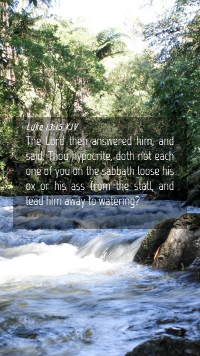 Picture 04 - Luke 13:15 KJV Mobile Phone Wallpaper - The Lord then answered him, and said, Thou - Mobile Bible Verse Wallpaper