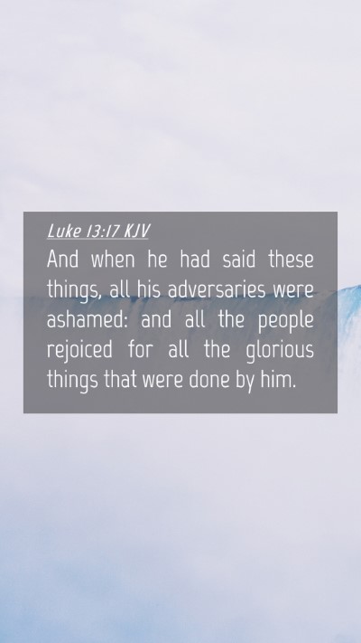 Picture 04 - Luke 13:17 KJV Mobile Phone Wallpaper - And when he had said these things, all his - Mobile Bible Verse Wallpaper