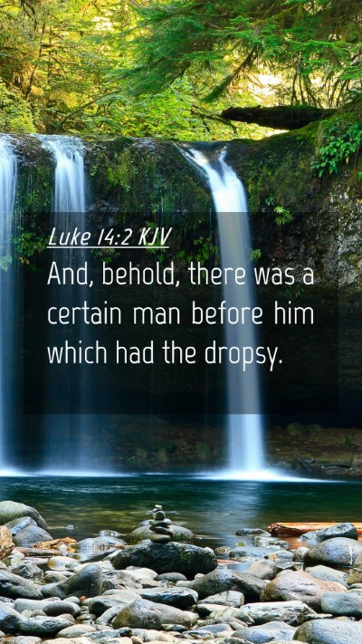 Picture 04 - Luke 14:2 KJV Mobile Phone Wallpaper - And, behold, there was a certain man before him - Mobile Bible Verse Wallpaper