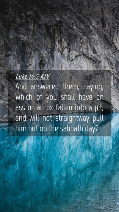 Picture 04 - Luke 14:5 KJV Mobile Phone Wallpaper - And answered them, saying, Which of you shall - Mobile Bible Verse Wallpaper