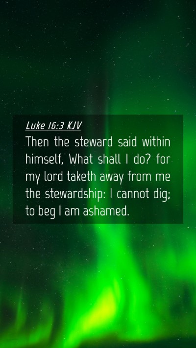 Picture 04 - Luke 16:3 KJV Mobile Phone Wallpaper - Then the steward said within himself, What shall - Mobile Bible Verse Wallpaper