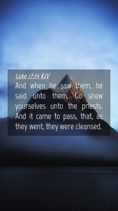 Picture 04 - Luke 17:14 KJV Mobile Phone Wallpaper - And when he saw them, he said unto them, Go shew - Mobile Bible Verse Wallpaper