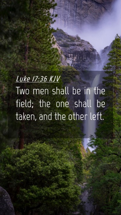 Picture 04 - Luke 17:36 KJV Mobile Phone Wallpaper - Two men shall be in the field; the one shall be - Mobile Bible Verse Wallpaper