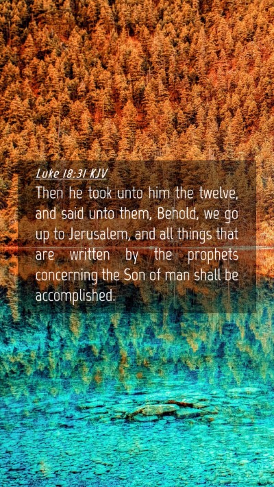 Picture 04 - Luke 18:31 KJV Mobile Phone Wallpaper - Then he took unto him the twelve, and said unto - Mobile Bible Verse Wallpaper