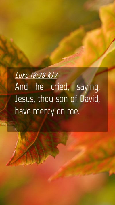 Picture 04 - Luke 18:38 KJV Mobile Phone Wallpaper - And he cried, saying, Jesus, thou son of David, - Mobile Bible Verse Wallpaper