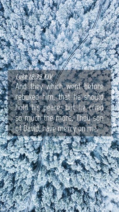 Picture 04 - Luke 18:39 KJV Mobile Phone Wallpaper - And they which went before rebuked him, that he - Mobile Bible Verse Wallpaper