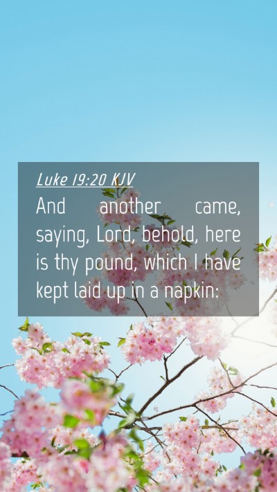 Picture 04 - Luke 19:20 KJV Mobile Phone Wallpaper - And another came, saying, Lord, behold, here is - Mobile Bible Verse Wallpaper