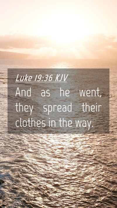 Picture 04 - Luke 19:36 KJV Mobile Phone Wallpaper - And as he went, they spread their clothes in the - Mobile Bible Verse Wallpaper