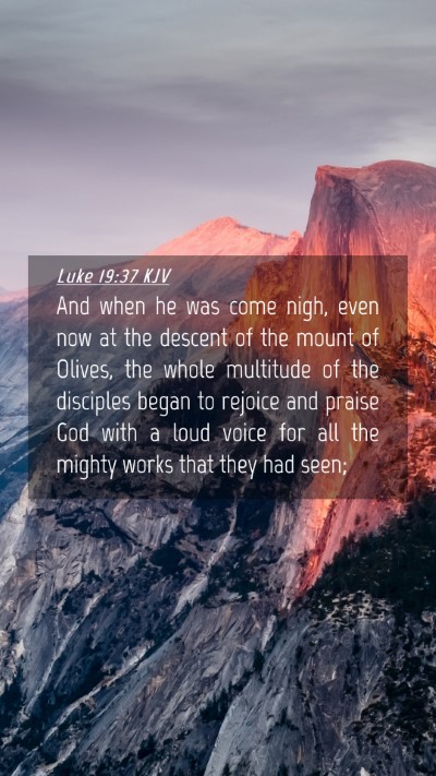 Picture 04 - Luke 19:37 KJV Mobile Phone Wallpaper - And when he was come nigh, even now at the - Mobile Bible Verse Wallpaper