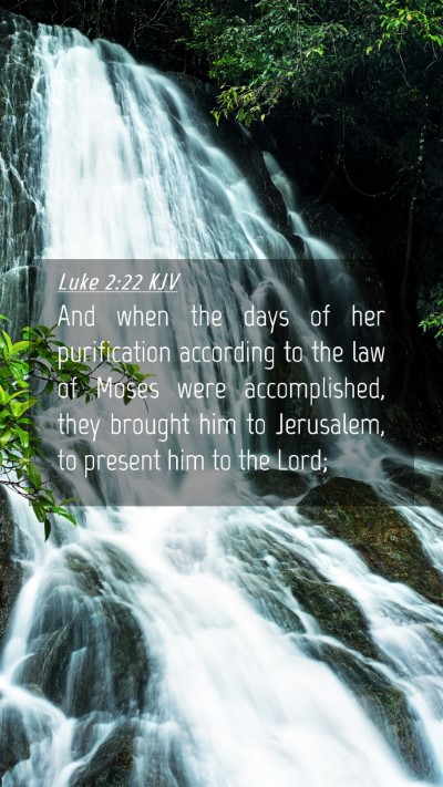 Picture 04 - Luke 2:22 KJV Mobile Phone Wallpaper - And when the days of her purification according - Mobile Bible Verse Wallpaper
