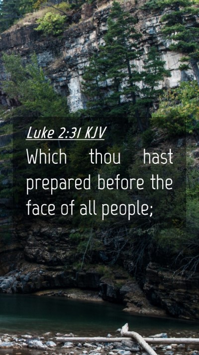 Picture 04 - Luke 2:31 KJV Mobile Phone Wallpaper - Which thou hast prepared before the face of all - Mobile Bible Verse Wallpaper