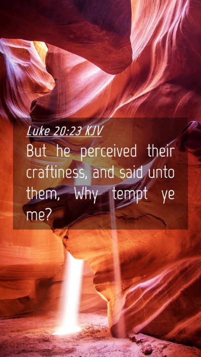 Picture 04 - Luke 20:23 KJV Mobile Phone Wallpaper - But he perceived their craftiness, and said unto - Mobile Bible Verse Wallpaper