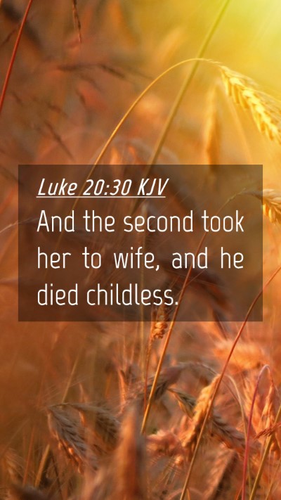 Picture 04 - Luke 20:30 KJV Mobile Phone Wallpaper - And the second took her to wife, and he died - Mobile Bible Verse Wallpaper