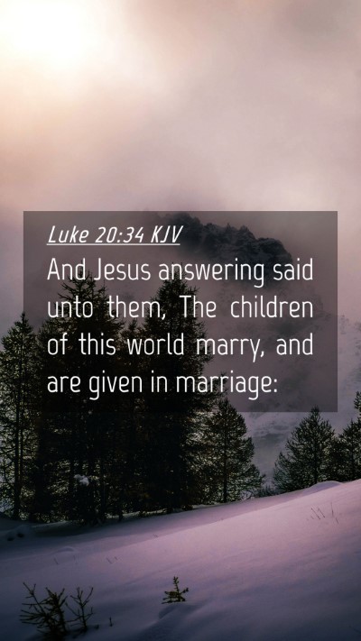 Picture 04 - Luke 20:34 KJV Mobile Phone Wallpaper - And Jesus answering said unto them, The children - Mobile Bible Verse Wallpaper