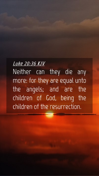Picture 04 - Luke 20:36 KJV Mobile Phone Wallpaper - Neither can they die any more: for they are equal - Mobile Bible Verse Wallpaper