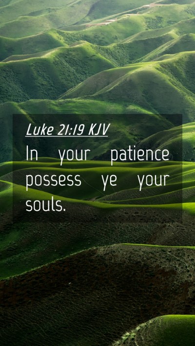 Picture 04 - Luke 21:19 KJV Mobile Phone Wallpaper - In your patience possess ye your - Mobile Bible Verse Wallpaper