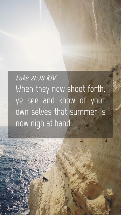 Picture 04 - Luke 21:30 KJV Mobile Phone Wallpaper - When they now shoot forth, ye see and know of - Mobile Bible Verse Wallpaper