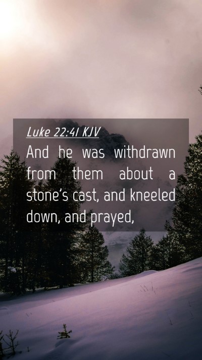 Picture 04 - Luke 22:41 KJV Mobile Phone Wallpaper - And he was withdrawn from them about a stone's - Mobile Bible Verse Wallpaper