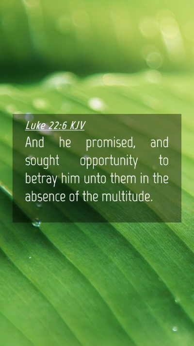 Picture 04 - Luke 22:6 KJV Mobile Phone Wallpaper - And he promised, and sought opportunity to betray - Mobile Bible Verse Wallpaper
