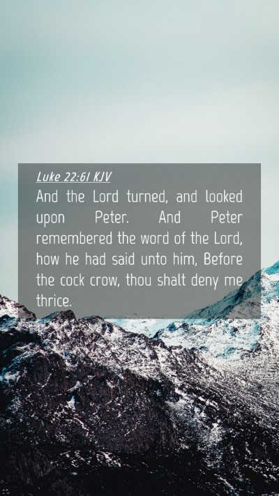 Picture 04 - Luke 22:61 KJV Mobile Phone Wallpaper - And the Lord turned, and looked upon Peter. And - Mobile Bible Verse Wallpaper