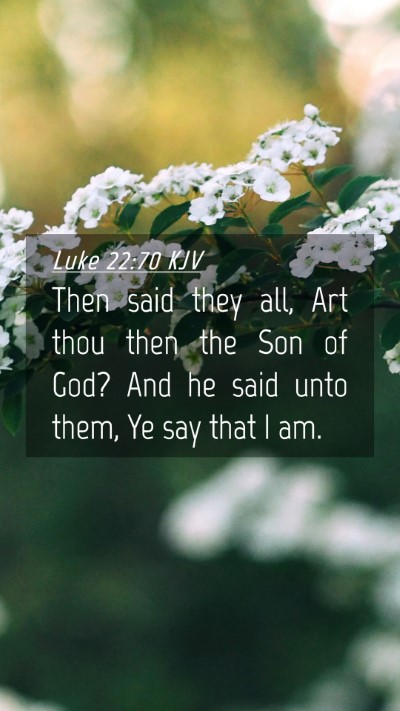 Picture 04 - Luke 22:70 KJV Mobile Phone Wallpaper - Then said they all, Art thou then the Son of God? - Mobile Bible Verse Wallpaper