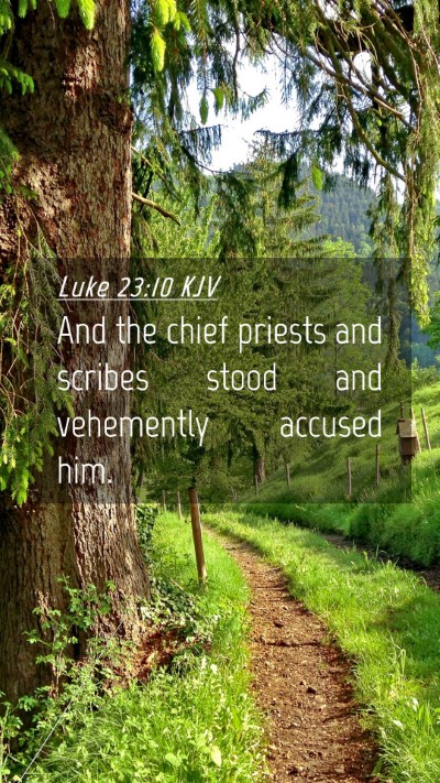 Picture 04 - Luke 23:10 KJV Mobile Phone Wallpaper - And the chief priests and scribes stood and - Mobile Bible Verse Wallpaper