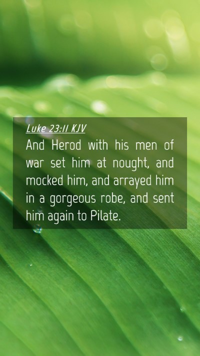 Picture 04 - Luke 23:11 KJV Mobile Phone Wallpaper - And Herod with his men of war set him at nought, - Mobile Bible Verse Wallpaper